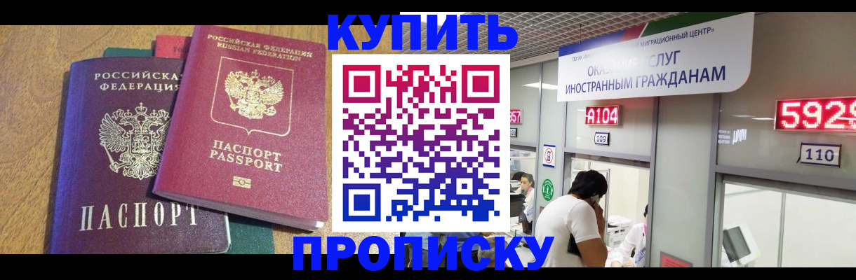 прописка в квартире в Шилке